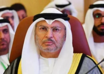 لماذا تتحفظ الإمارات على المشاركة في القوة الدولية بغزة؟.. قراءة في الموقف والأبعاد