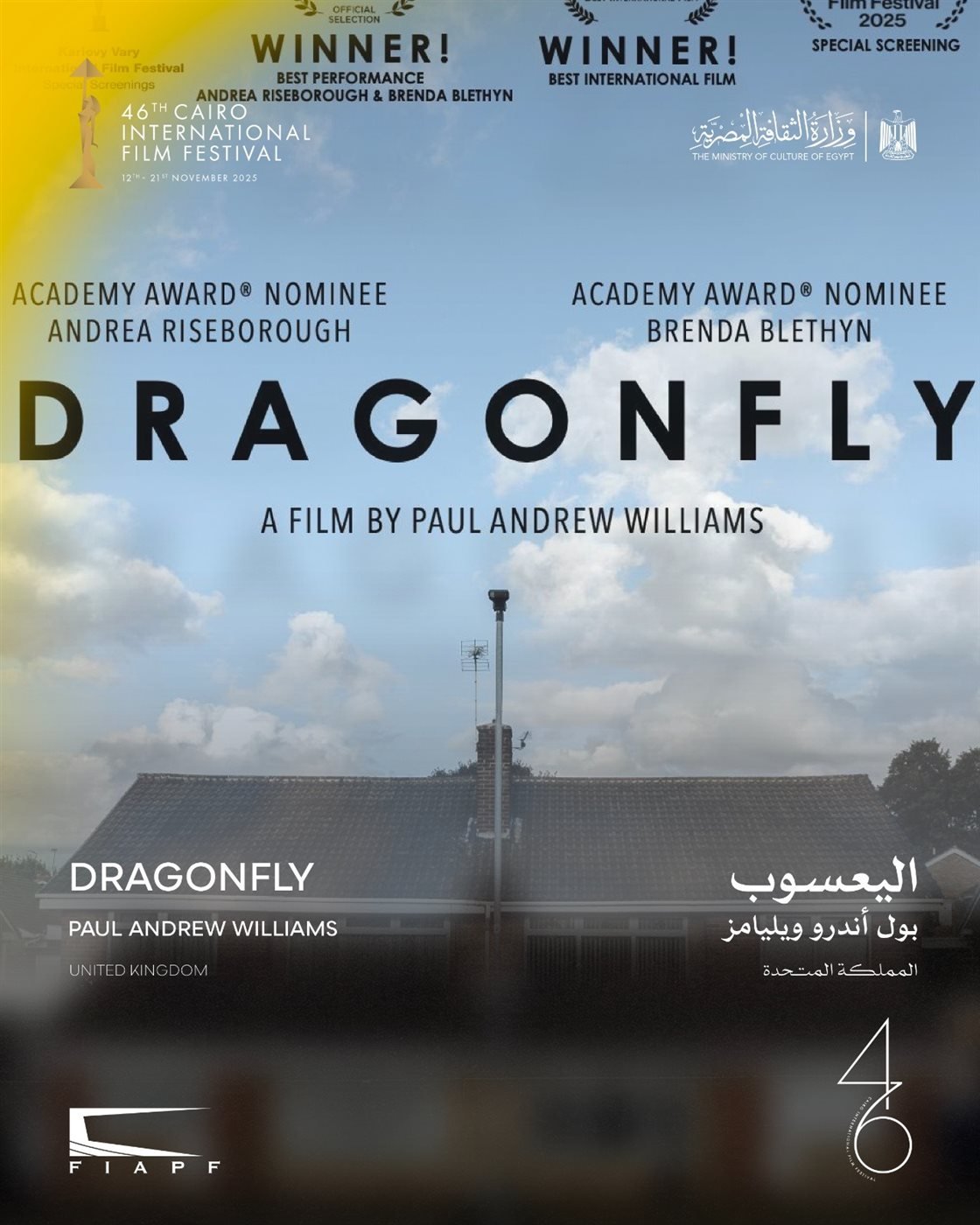 جوائز مهرجان القاهرة السينمائي.. اليعسوب يحصد الهرم الذهبي