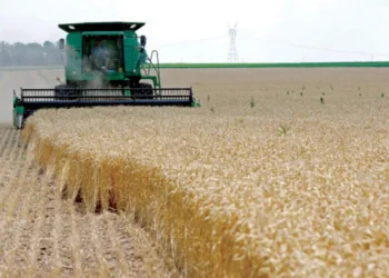 هل تحديات المياه عقبة أمام الشراكة المصرية – الإيطالية؟