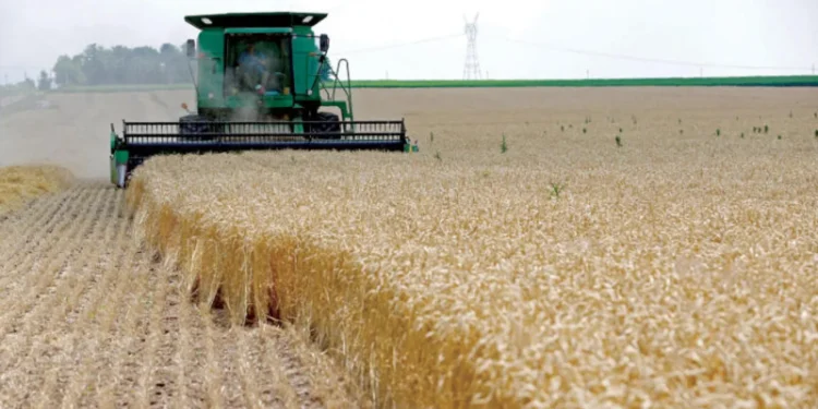 هل تحديات المياه عقبة أمام الشراكة المصرية – الإيطالية؟