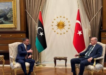 الوجود التركي في ليبيا.. شراكة أمنية أم تدخل خارجي؟