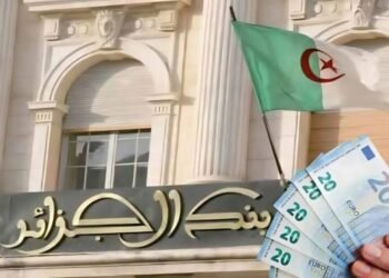 نزيف اليورو عبر الحدود.. كيف تواجه الجزائر شبكات الاحتيال؟