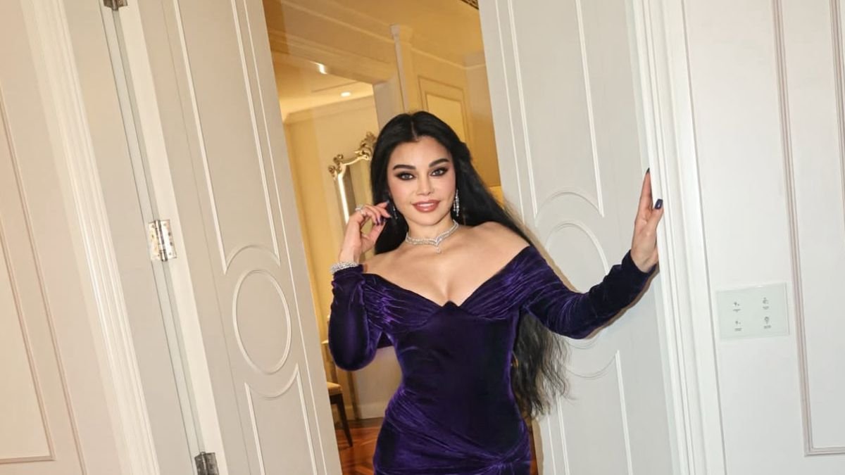 أول تعليق لهيفاء وهبي بعد إلغاء منع حفلاتها في مصر