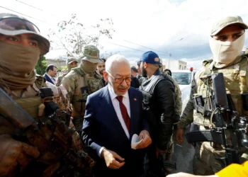 المتهمون شخصيات بارزة.. القصة الكاملة لقضية إنستالينغو