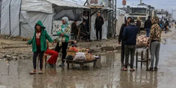 الشتاء يفاقم المأساة.. نصف سكان غزة يواجهون أزمة إيواء مفتوحة