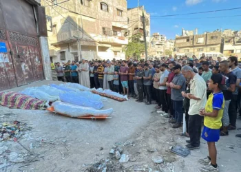 قتل يومي رغم الهدنة.. لماذا يصمت مجلس السلام أمام جرائم الاحتلال؟