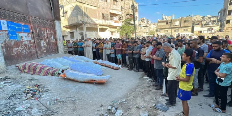 قتل يومي رغم الهدنة.. لماذا يصمت مجلس السلام أمام جرائم الاحتلال؟