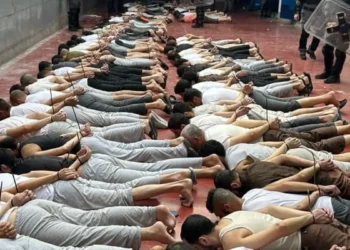 324 شهيدًا خلف القضبان.. نرصد مأساة الأسرى في سجون الاحتلال