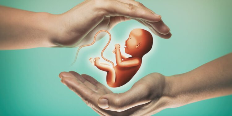 رحلة البحث عن الأمومة.. الفرق بين التلقيح والزرع وأطفال الأنابيب