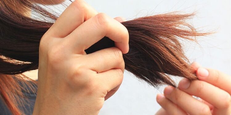 علاج جفاف الشعر.. أسرار استعادة الحيوية واللمعان