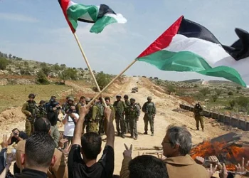 لقطات موثقة.. عنف المستوطنين يتصاعد في جنوب الضفة