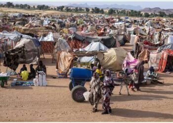 الفاشر على حافة الإبادة.. اتهامات خطيرة تطال «الدعم السريع»