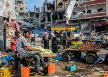 الجباية في غزة تحت ضغط الحرب