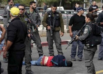 سابقة خطيرة.. الاحتلال يُجبر ضباط إيطاليين على “الركوع” في الضفة