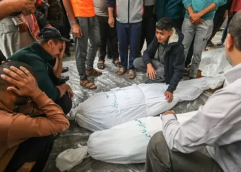 دراسة تكشف أرقام صادمة عن عدد الوفيات في غزة