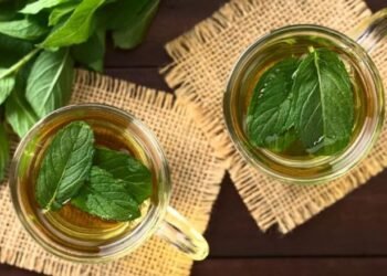 النعناع.. المهدئ الأخضر وجندي الخفاء في معارك الهضم الثقيلة