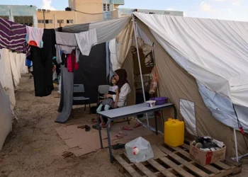 أرقام الأونروا تكشف تفاقم معاناة اللاجئين الفلسطينيين