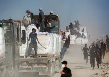 عشائر غزة تنتفض ضد العصابات المسلحة المتعاونة مع الاحتلال