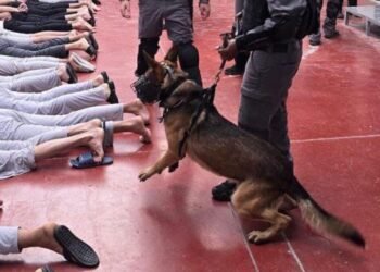 تحذير أممي: إفلات الاحتلال من العقاب يفاقم معاناة الفلسطينيين