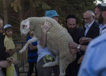 جماعات “الهيكل” تصعد.. حملة متطرفة لفرض القربان في الأقصى