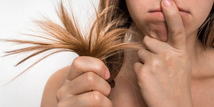 علاج تقصف الشعر في المنزل.. وخطوات الحفاظ على أطرافه