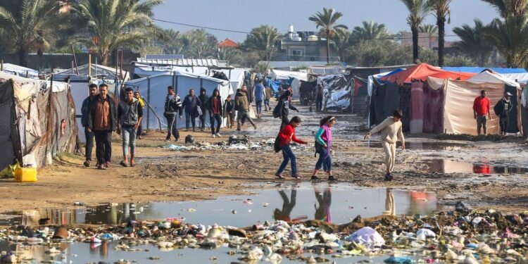 أمل من رحم المعاناة.. قصص إنسانية من قلب غزة