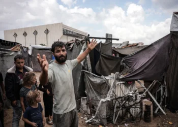 تحذيرات دولية وروايات إنسانية.. شهادات تكشف حجم المعاناة في غزة