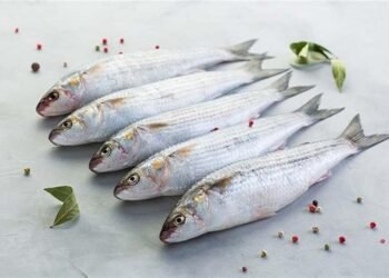 أعراض تسمم الفسيخ.. علامات تستوجب الطوارئ في شم النسيم