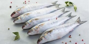 أعراض تسمم الفسيخ.. علامات تستوجب الطوارئ في شم النسيم