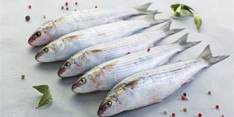 أعراض تسمم الفسيخ.. علامات تستوجب الطوارئ في شم النسيم