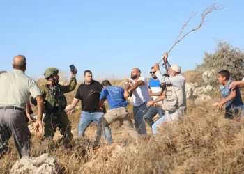 هل تنجح لجان الحماية في مواجهة الهجوم الاستيطاني «المسعور»؟