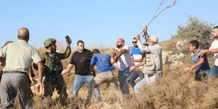 هل تنجح لجان الحماية في مواجهة الهجوم الاستيطاني «المسعور»؟