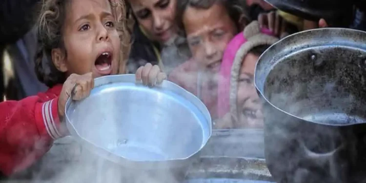 أوباما يحذر والأرقام توثق.. سكان غزة يواجهون الموت جوعًا