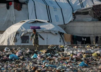 غزو الفئران.. أزمة صحية وبيئية تحاصر خيام النازحين في غزة