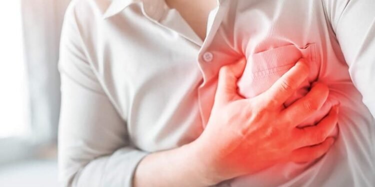 الشريان التاجي.. أسباب انسداد شرايين القلب وعلاجها