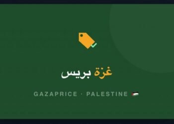 غزة برس.. شابة تتحدى الصعاب وتبتكر تطبيقًا لخدمة سكان القطاع