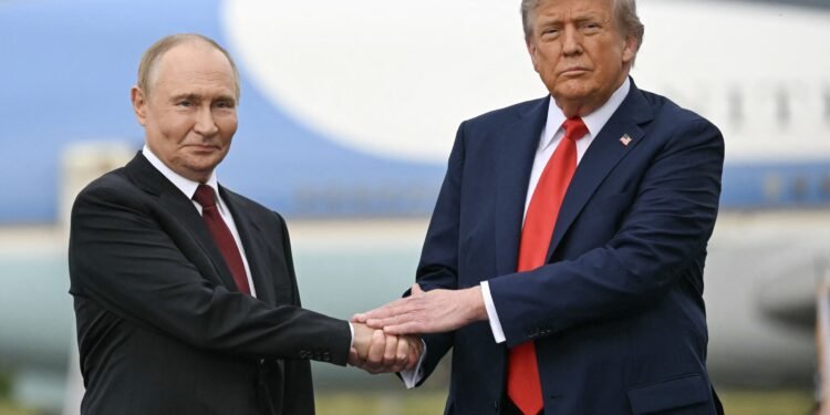 اتصالات دونالد ترامب وفلاديمير بوتين .. نحو هدنة في أوكرانيا ؟