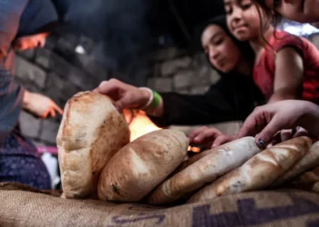 نقص الخبز في غزة.. نرصد معاناة السكان ورأي الخبراء لمواجهة الأزمة