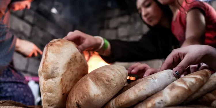 نقص الخبز في غزة.. نرصد معاناة السكان ورأي الخبراء لمواجهة الأزمة
