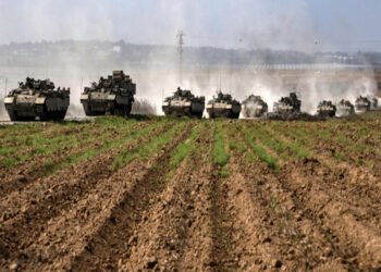 دمار الأراضي الزراعية.. الأمن الغذائي في غزة على حافة الانهيار