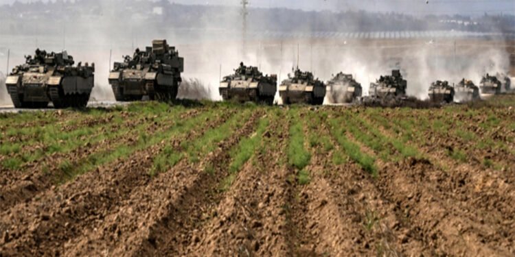 دمار الأراضي الزراعية.. الأمن الغذائي في غزة على حافة الانهيار