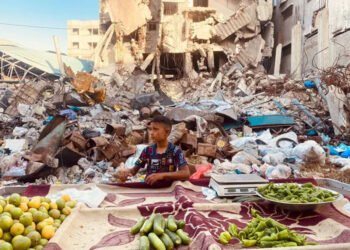 «نبيع لنعيش».. اقتصاد البقاء وحكايات الصمود في غزة