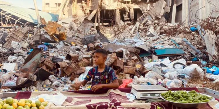 «نبيع لنعيش».. اقتصاد البقاء وحكايات الصمود في غزة