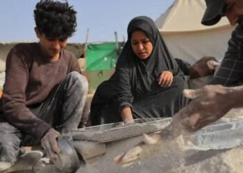 صمود وسط الركام.. عائلة «أبو جبل» تصنع من رماد الدمار وسيلة للبقاء