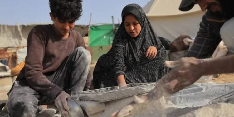 صمود وسط الركام.. عائلة «أبو جبل» تصنع من رماد الدمار وسيلة للبقاء