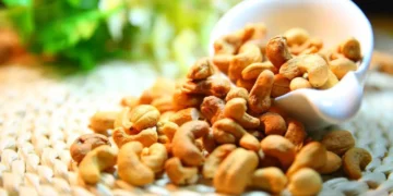 صديق أم عدو للقلب؟.. حقيقة العلاقة بين الكاجو والكوليسترول