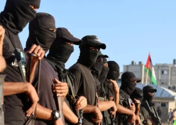 انتخابات حماس بين تماسك التنظيم وأسئلة الشارع الفلسطيني