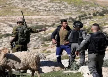 قتل وسرقة وترهيب.. تداعيات التصعيد الاستيطاني على الريف الفلسطيني