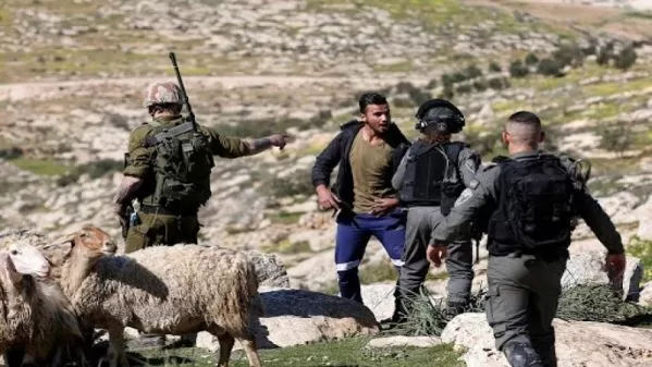 قتل وسرقة وترهيب.. تداعيات التصعيد الاستيطاني على الريف الفلسطيني