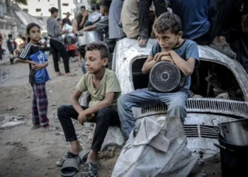 أرقام صادمة.. تقرير حقوقي يكشف خطورة سوء التغذية على أطفال غزة